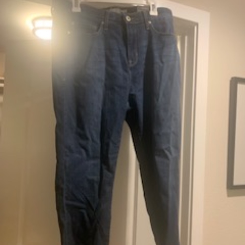 Torrid Premium Stretch Jeans